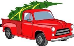 Bringing Tree Home