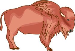 BUFFALO