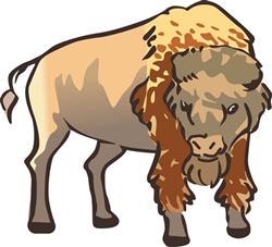 Buffalo