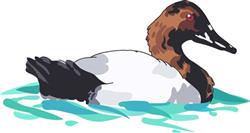 CANVASBACK DUCK