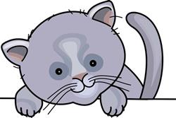 CAT PLAYING