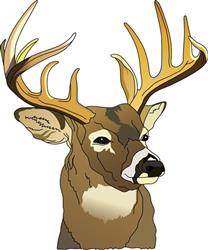 DEER HEAD