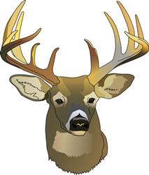 DEER HEAD