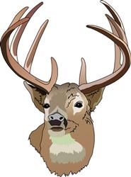 DEER HEAD