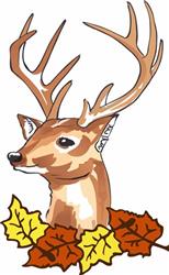 DEER HEAD