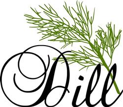 Dill Herb