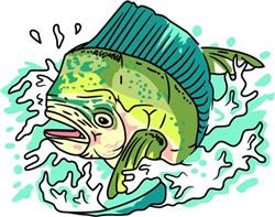 DOLPHIN FISH
