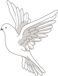 DOVE