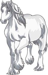 DRAFT HORSE