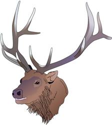 ELK HEAD