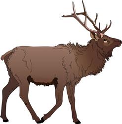 ELK