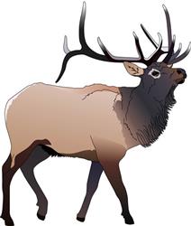 ELK
