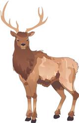 ELK