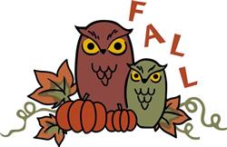 Fall Owls