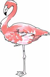 FLAMINGO
