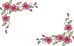 FLOWER BORDER