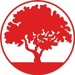 FRAMED TREE