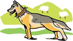 GERMAN SHEPHERD