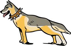 GERMAN SHEPHERD