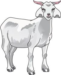 GOAT