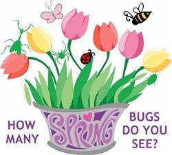 HOW MANY BUGS