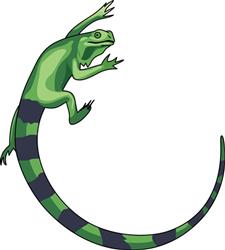 IGUANA LIZARD