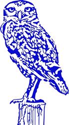 LARGE OWL