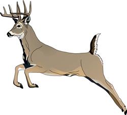 LEAPING DEER