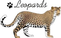 LEOPARDS