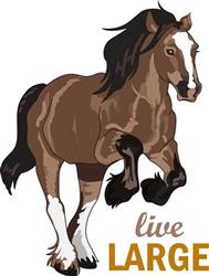 LIVE LARGE