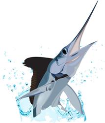 MARLIN