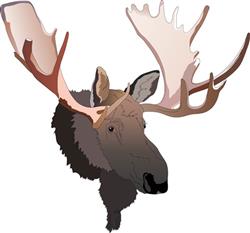 MOOSE BUST