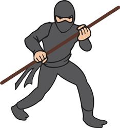 Ninja