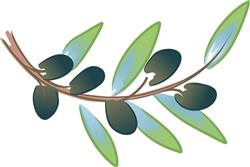 OLIVE BRANCH