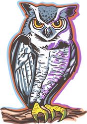 Owl