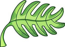 PALM LEAF