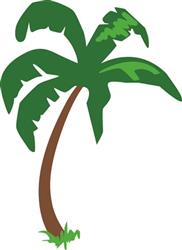 Palm Tree