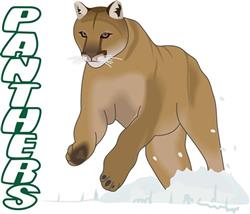 PANTHERS