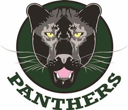 PANTHERS TEAM