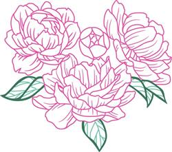 PEONIES