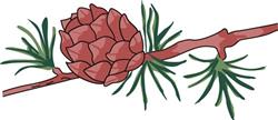 PINECONE