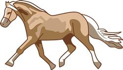 Pony