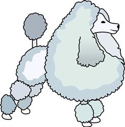 POODLE