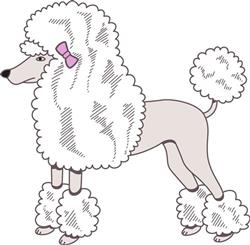 POODLE