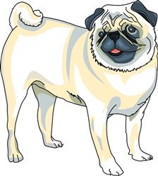 PUG