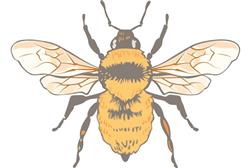 Realistic Bumblebee