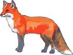 RED FOX