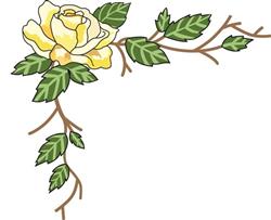 ROSE BORDER