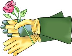 ROSE PRUNING GLOVES
