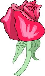 ROSEBUD